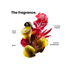 Serie Expert - Vitamino Color Spectrum - Shampoo - 500ML REFILL