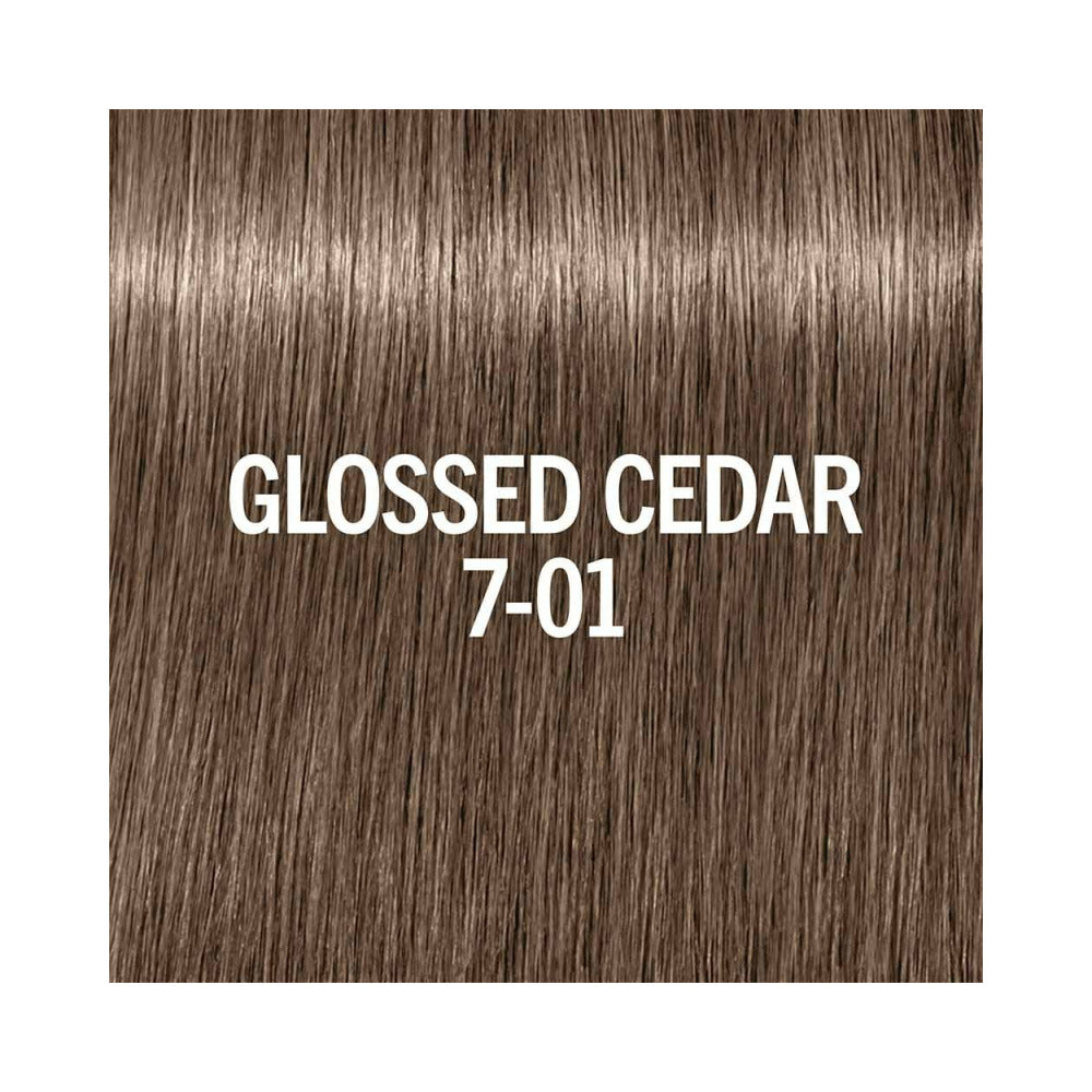 BLONDME - Glow Toner - GlossedCedar