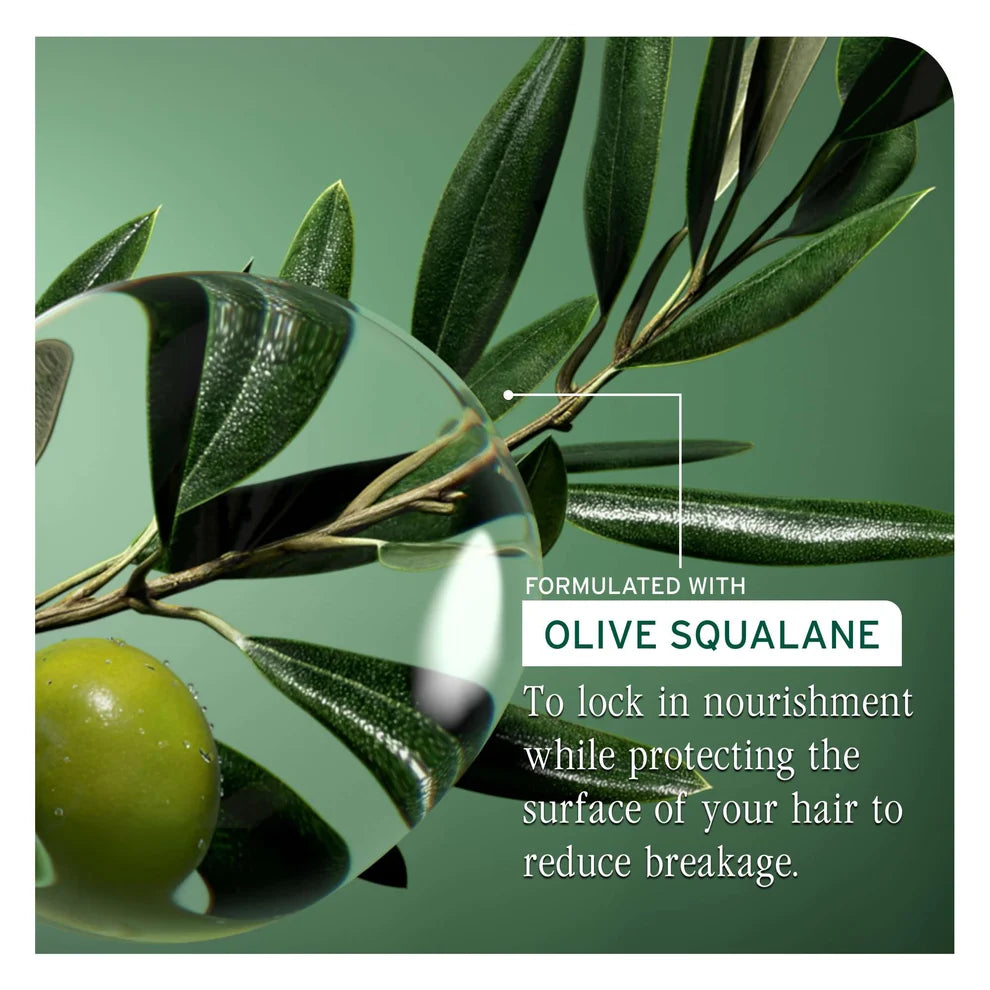 A close-up botanical graphic showing olive branches and a green olive on a muted green background, with a transparent droplet and overlaid text reading 'FORMULATED WITH OLIVE SQUALANE' and a benefit statement about locking in nourishment and reducing breakage.