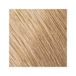 Goldwell Topchic Can 10GB Sahara Pastel Beige Blonde 250g